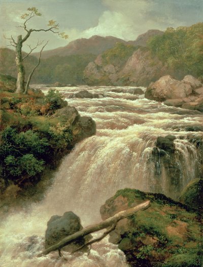 Waterfall on River Neath, South Wales, 19th century by James Burrell Smith
